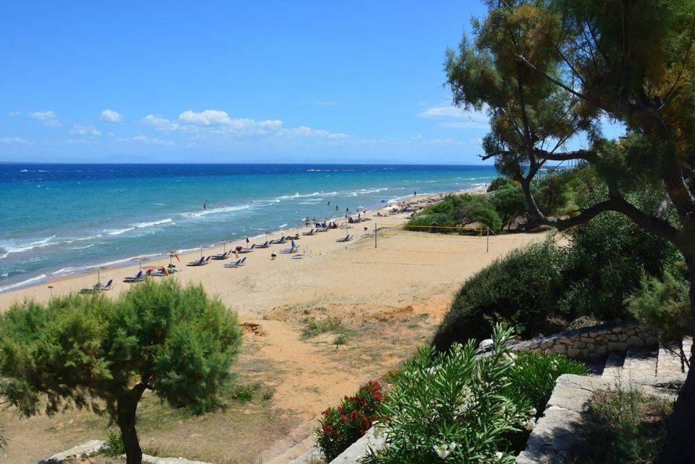 Stamiris Beach Hotel Vasilikí Exterior foto